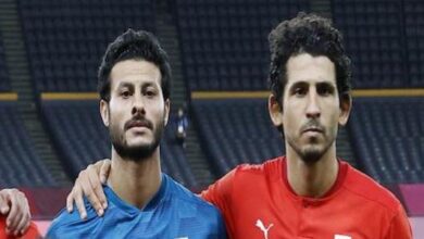 El Shenawy & Hegazi