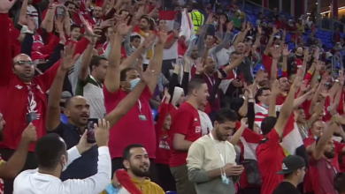 Egyptian Fans