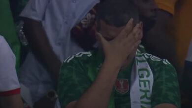 Algerian Fan